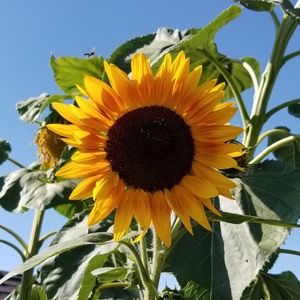 Meet your Posher, Debra